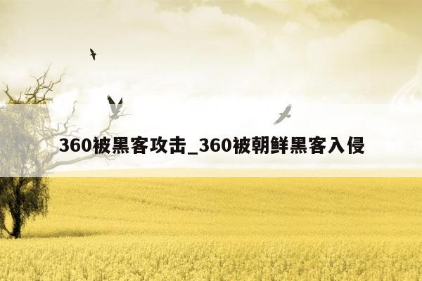 360被黑客攻击_360被朝鲜黑客入侵