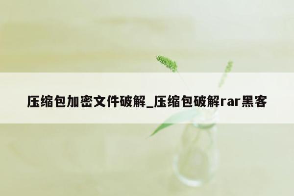 压缩包加密文件破解_压缩包破解rar黑客