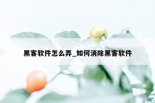 黑客软件怎么弄_如何消除黑客软件