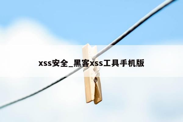xss安全_黑客xss工具手机版