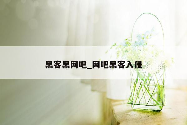 黑客黑网吧_网吧黑客入侵