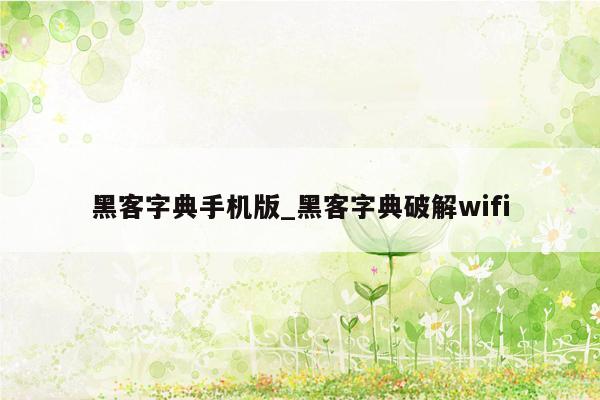 黑客字典手机版_黑客字典破解wifi