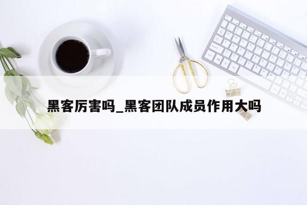 黑客厉害吗_黑客团队成员作用大吗