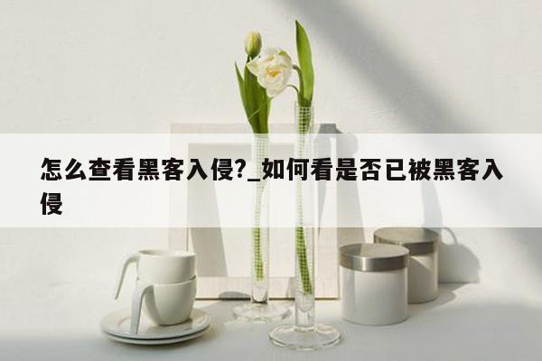 怎么查看黑客入侵?_如何看是否已被黑客入侵