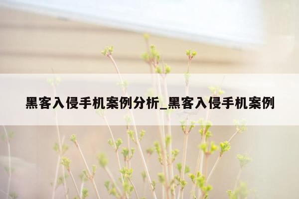 黑客入侵手机案例分析_黑客入侵手机案例