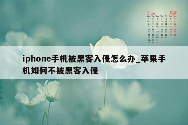 iphone手机被黑客入侵怎么办_苹果手机如何不被黑客入侵