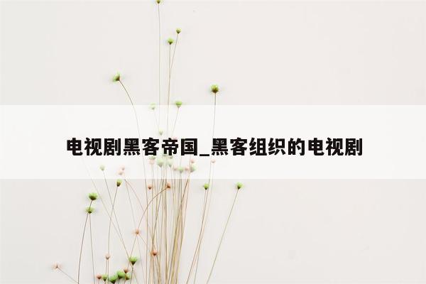 电视剧黑客帝国_黑客组织的电视剧