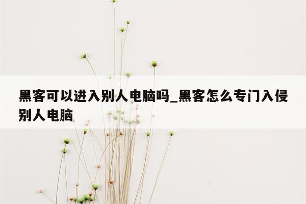 黑客可以进入别人电脑吗_黑客怎么专门入侵别人电脑