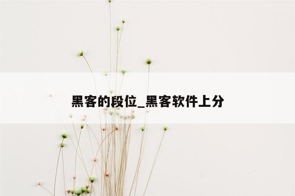 黑客的段位_黑客软件上分