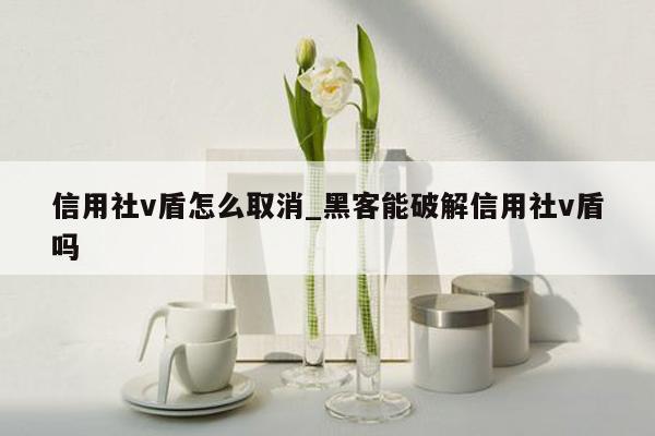 信用社v盾怎么取消_黑客能破解信用社v盾吗