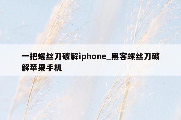 一把螺丝刀破解iphone_黑客螺丝刀破解苹果手机