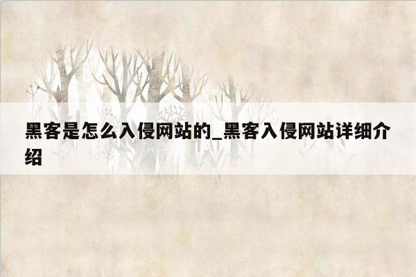 黑客是怎么入侵网站的_黑客入侵网站详细介绍