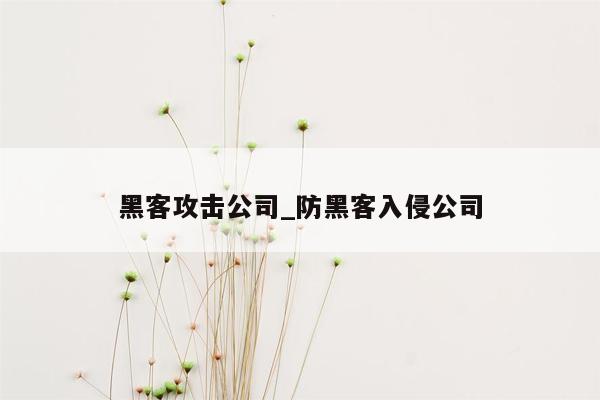 黑客攻击公司_防黑客入侵公司