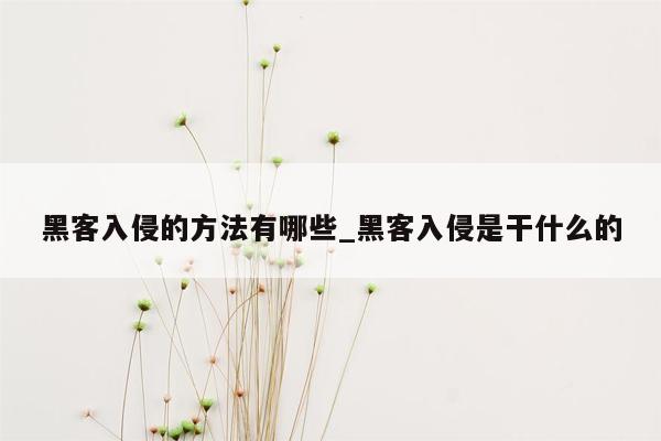 黑客入侵的方法有哪些_黑客入侵是干什么的