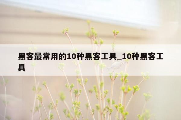 黑客最常用的10种黑客工具_10种黑客工具