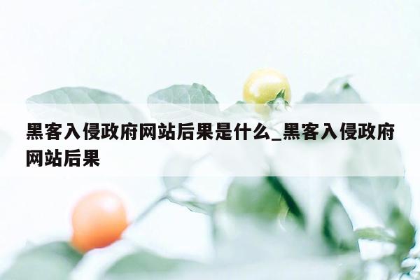 黑客入侵政府网站后果是什么_黑客入侵政府网站后果