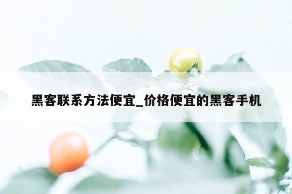 黑客联系方法便宜_价格便宜的黑客手机