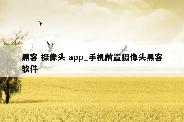 黑客 摄像头 app_手机前置摄像头黑客软件