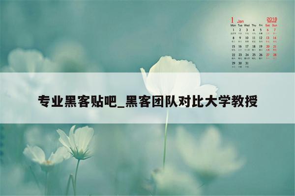 专业黑客贴吧_黑客团队对比大学教授