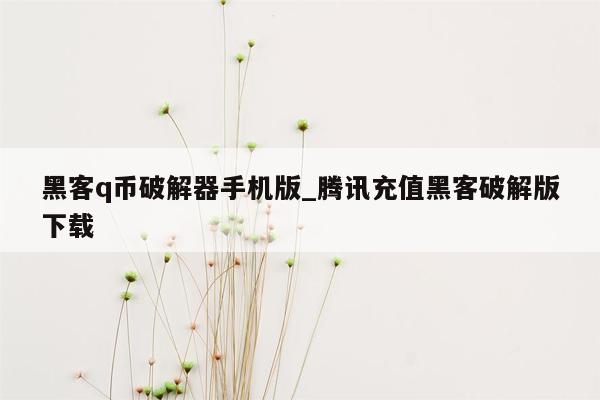 黑客q币破解器手机版_腾讯充值黑客破解版下载