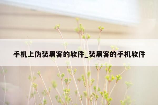 手机上伪装黑客的软件_装黑客的手机软件