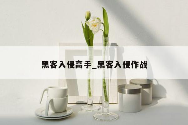 黑客入侵高手_黑客入侵作战