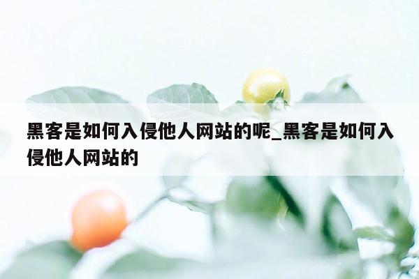 黑客是如何入侵他人网站的呢_黑客是如何入侵他人网站的