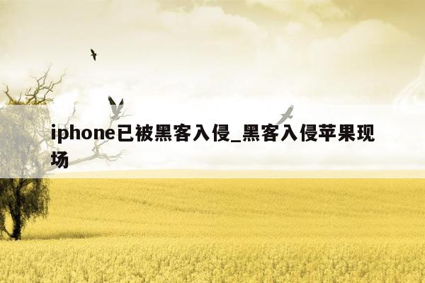 iphone已被黑客入侵_黑客入侵苹果现场