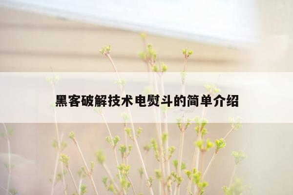 黑客破解技术电熨斗的简单介绍