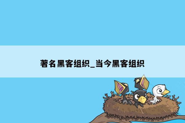 著名黑客组织_当今黑客组织