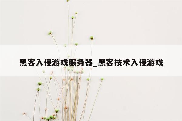 黑客入侵游戏服务器_黑客技术入侵游戏