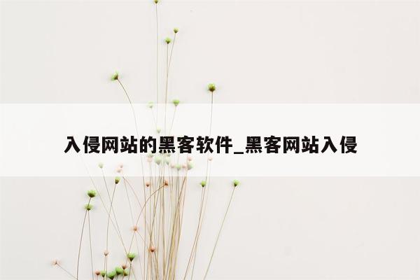 入侵网站的黑客软件_黑客网站入侵