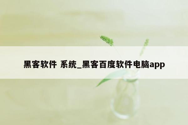 黑客软件 系统_黑客百度软件电脑app