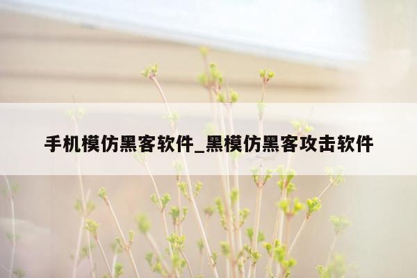 手机模仿黑客软件_黑模仿黑客攻击软件