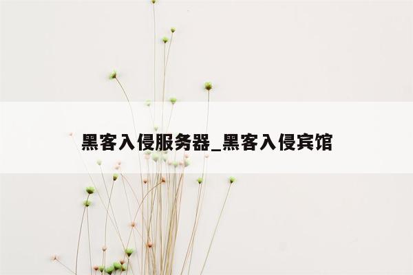 黑客入侵服务器_黑客入侵宾馆