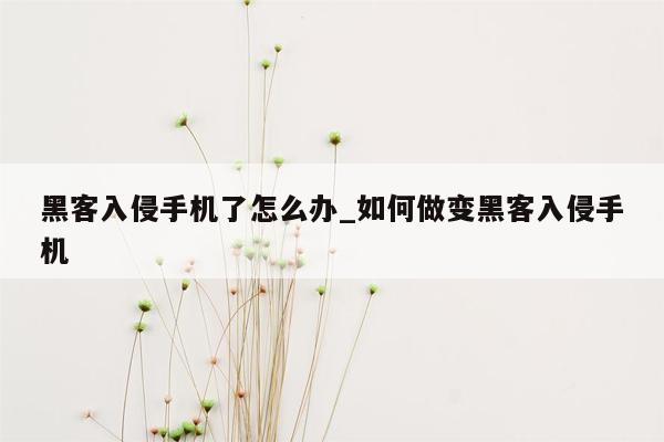 黑客入侵手机了怎么办_如何做变黑客入侵手机