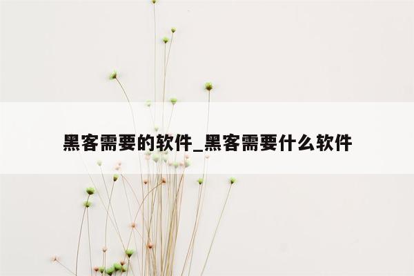 黑客需要的软件_黑客需要什么软件