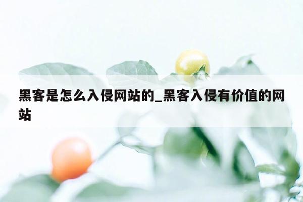 黑客是怎么入侵网站的_黑客入侵有价值的网站