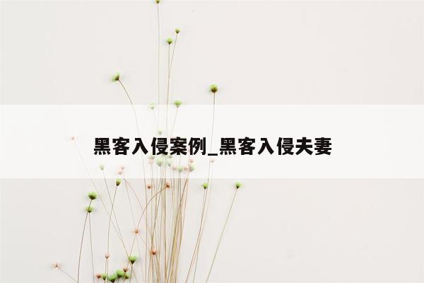 黑客入侵案例_黑客入侵夫妻