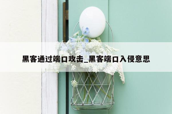 黑客通过端口攻击_黑客端口入侵意思