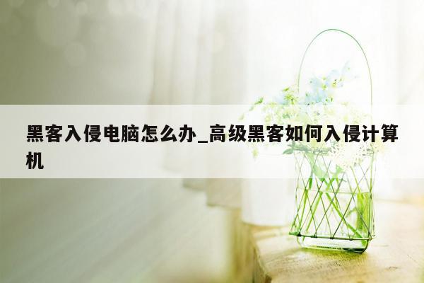 黑客入侵电脑怎么办_高级黑客如何入侵计算机