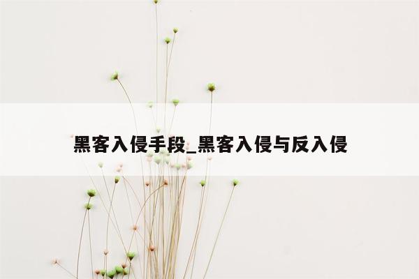 黑客入侵手段_黑客入侵与反入侵