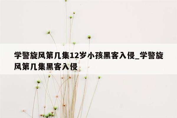 学警旋风第几集12岁小孩黑客入侵_学警旋风第几集黑客入侵