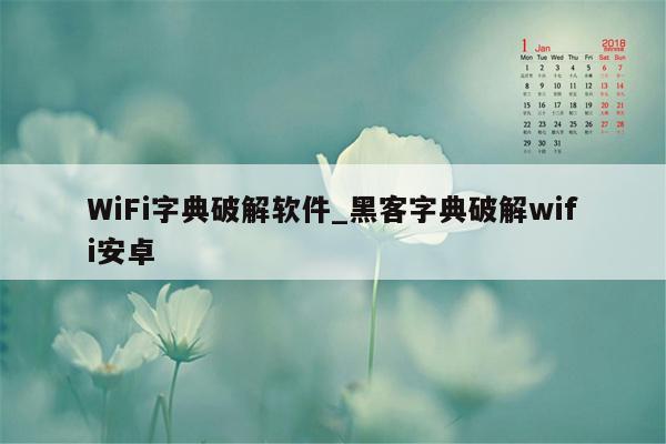 WiFi字典破解软件_黑客字典破解wifi安卓