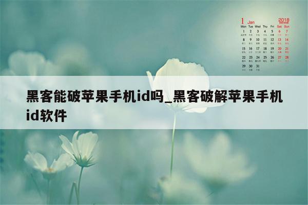 黑客能破苹果手机id吗_黑客破解苹果手机id软件