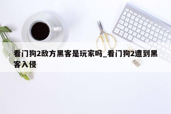 看门狗2敌方黑客是玩家吗_看门狗2遭到黑客入侵