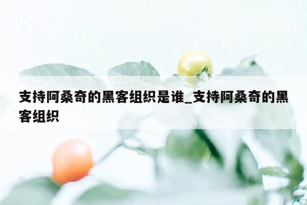 支持阿桑奇的黑客组织是谁_支持阿桑奇的黑客组织