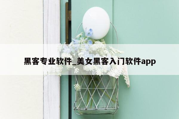 黑客专业软件_美女黑客入门软件app