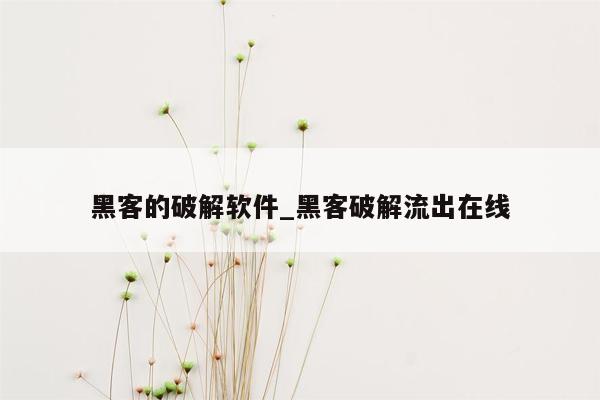 黑客的破解软件_黑客破解流出在线