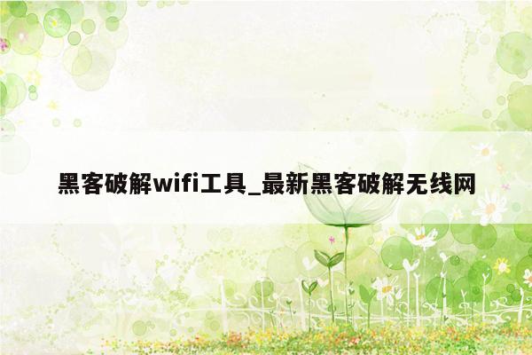 黑客破解wifi工具_最新黑客破解无线网